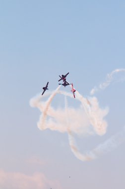 uçuş ekibi snowbirds demo