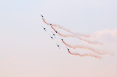 uçuş ekibi snowbirds demo