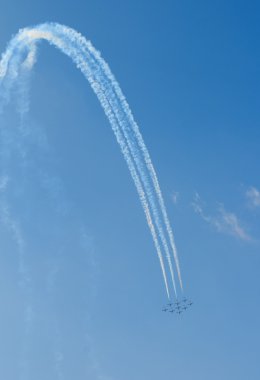 uçuş ekibi snowbirds demo
