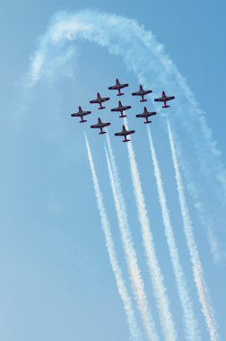 uçuş ekibi snowbirds demo