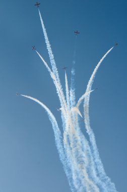 uçuş ekibi snowbirds demo