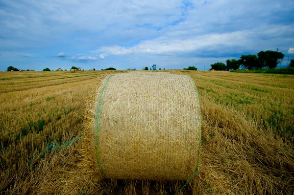 Vete — Stockfoto