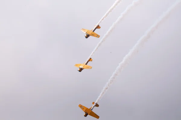 Snowbirds demo team under flygning — Stockfoto