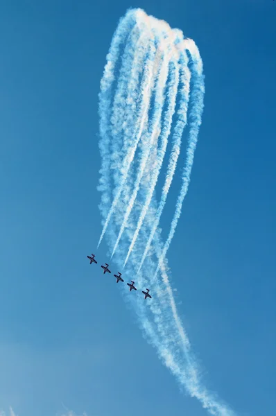 Schneevögel-Demoteam im Flug — Stockfoto