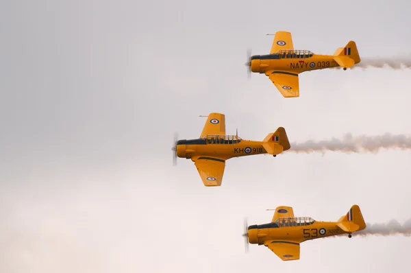 Snowbirds demo team in flight Stock Picture