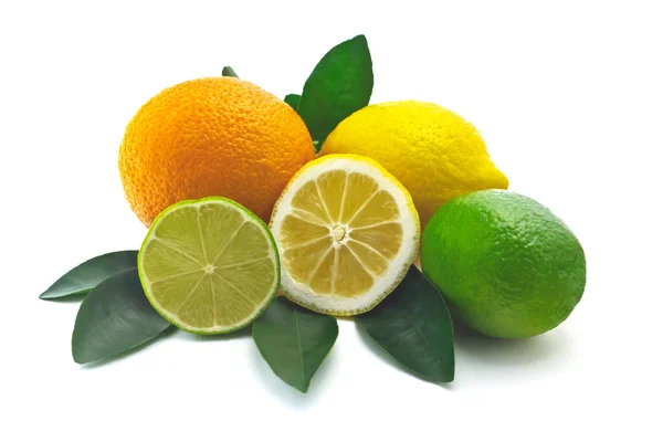 Citrus op witte achtergrond — Stockfoto