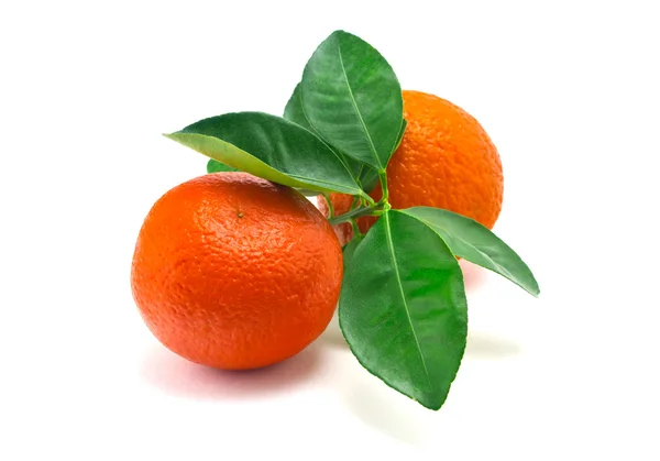 Апельсины на белом фоне — стоковое фото