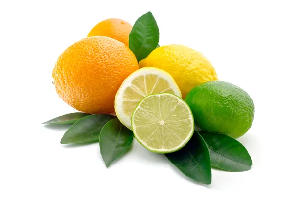 Citrus op witte achtergrond — Stockfoto