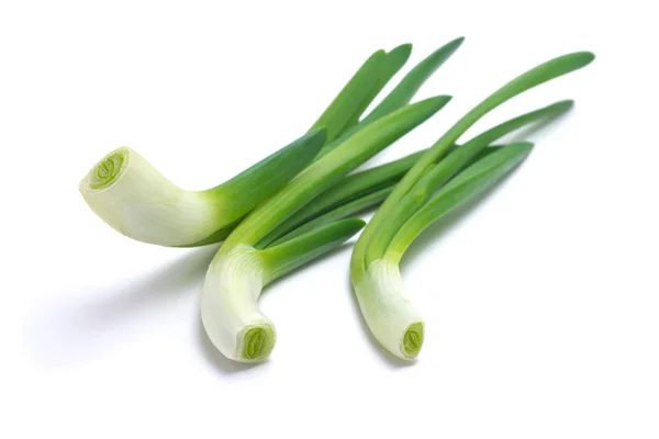 Young green onions — Stock Photo, Image
