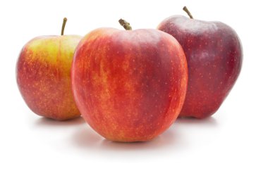 kırmızı ve sarı elmalar