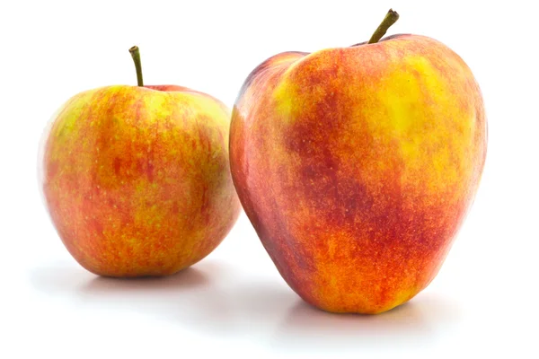 Red and yellow apples — Stock Photo, Image