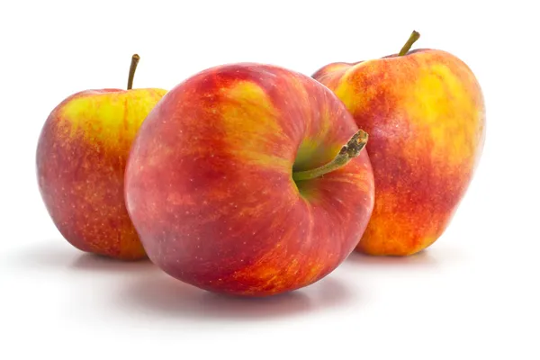 Rode en gele appels — Stockfoto