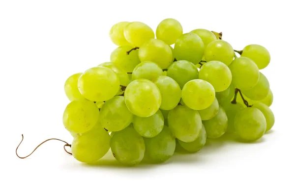 Grapes — Stock Photo, Image