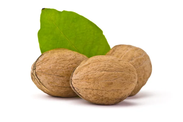 Nueces — Foto de Stock