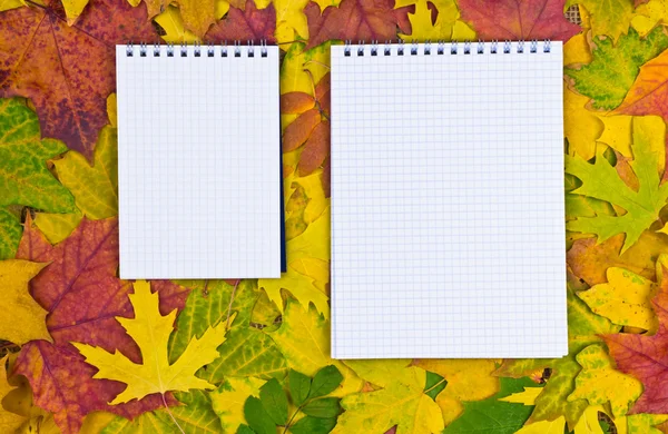 Papier in de herfst achtergrond — Stockfoto