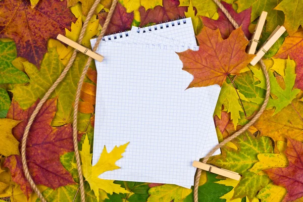 Paper in the autumn background — Stock Photo, Image