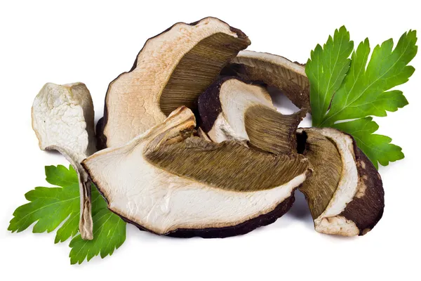 Dried porcini mushrooms — Stock Photo, Image