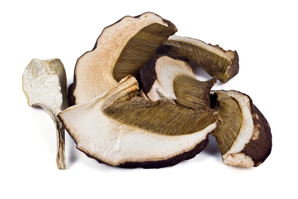 Funghi porcini secchi — Foto Stock