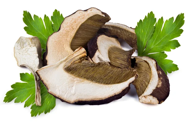 Dried porcini mushrooms — Stock Photo, Image