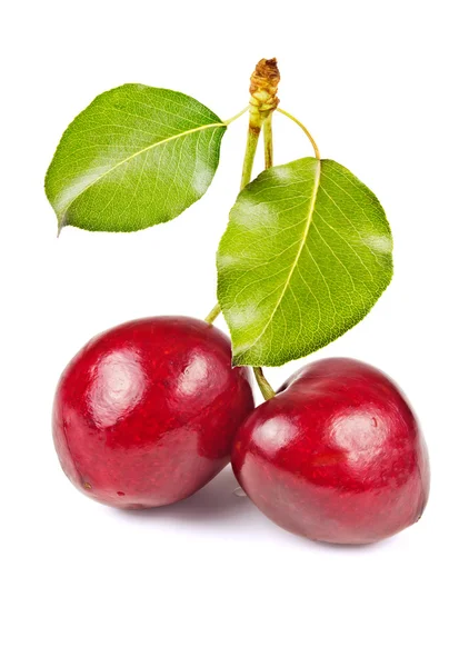 Duas cerejas doces — Fotografia de Stock