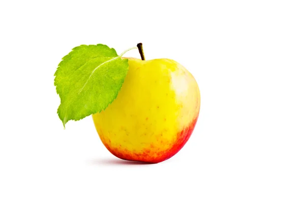 Apple and leaves — Stock Photo, Image