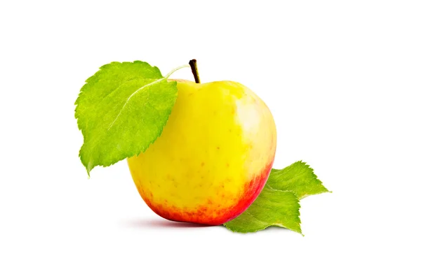 Apple and leaves — Stock Photo, Image