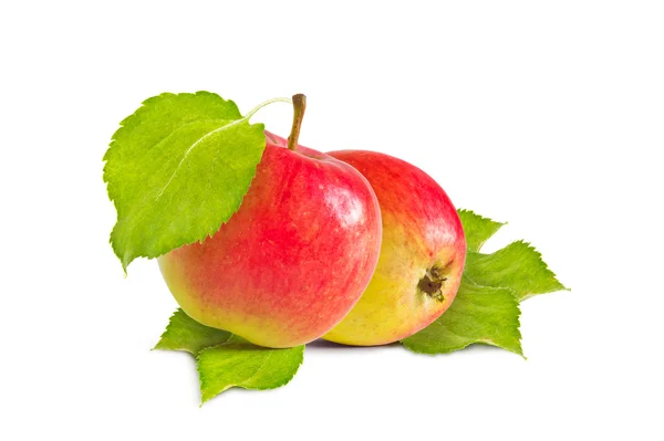 Apples and leaves — Stock Photo, Image