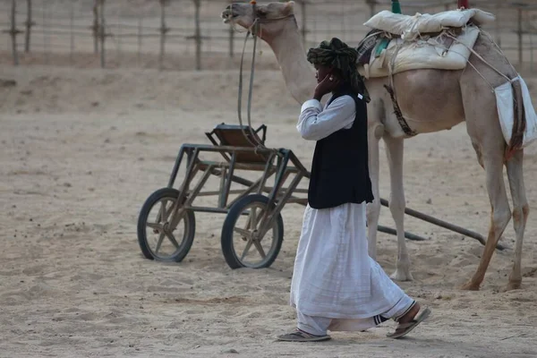 Safari Cuádruple Pueblo Beduino Egipto — Foto de Stock