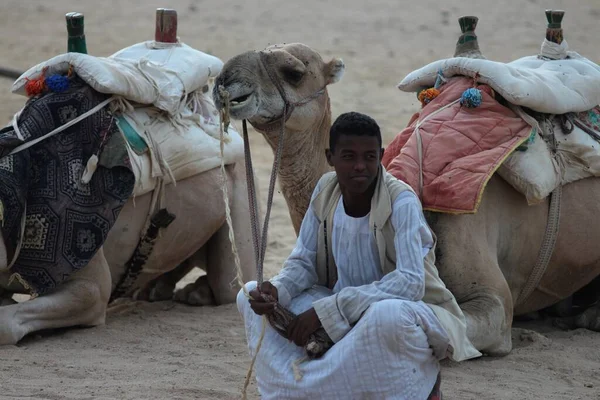 Quad Safari Och Beduin Village Egypten — Stockfoto