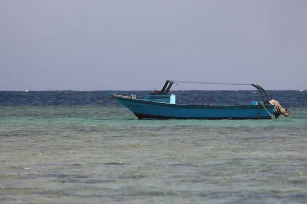 Marsa Alam Mar Rosso Egitto — Foto Stock