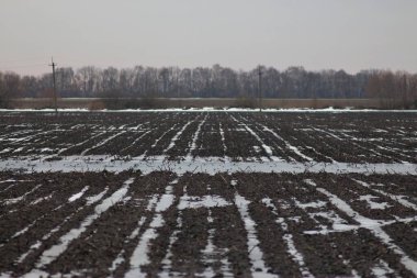 Ukrayna Doğa: Bahar Yürüyüşü