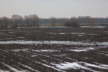 Ukrayna Doğa: Bahar Yürüyüşü