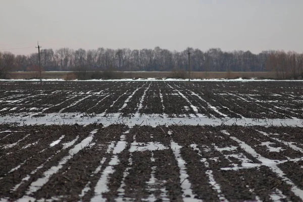 Ukrayna Doğa: Bahar Yürüyüşü