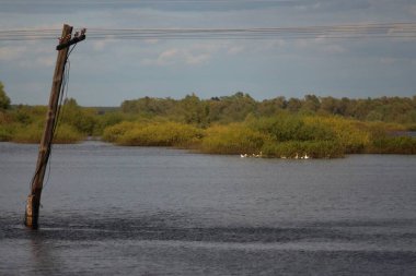 Desna Nehri 'nde Bahar Tufanı. Mezynsky Ulusal Doğa Parkı, Chernihiv Bölgesi, Ukrayna