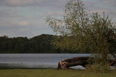 Desna Nehri 'nde Bahar Tufanı. Mezynsky Ulusal Doğa Parkı, Chernihiv Bölgesi, Ukrayna