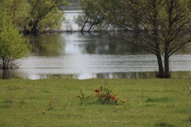 Desna Nehri 'nde Bahar Tufanı. Mezynsky Ulusal Doğa Parkı, Chernihiv Bölgesi, Ukrayna