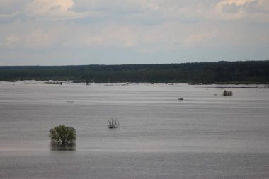 Desna Nehri 'nde Bahar Tufanı. Mezynsky Ulusal Doğa Parkı, Chernihiv Bölgesi, Ukrayna