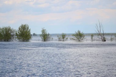 Desna Nehri 'nde Bahar Tufanı. Mezynsky Ulusal Doğa Parkı, Chernihiv Bölgesi, Ukrayna