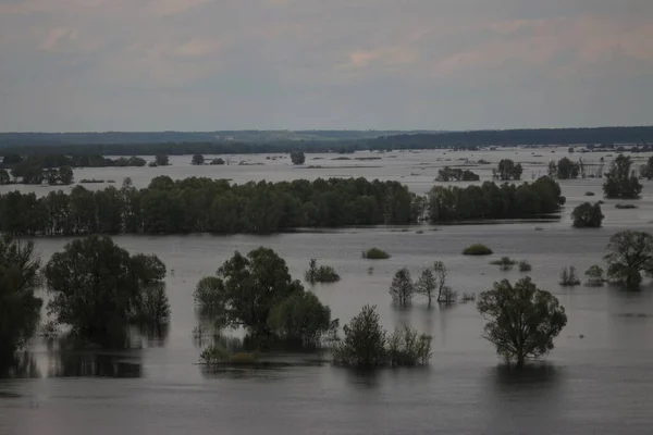 德斯纳河上的春天洪水 乌克兰切尔尼赫夫地区Mezynsky国家自然公园 — 图库照片