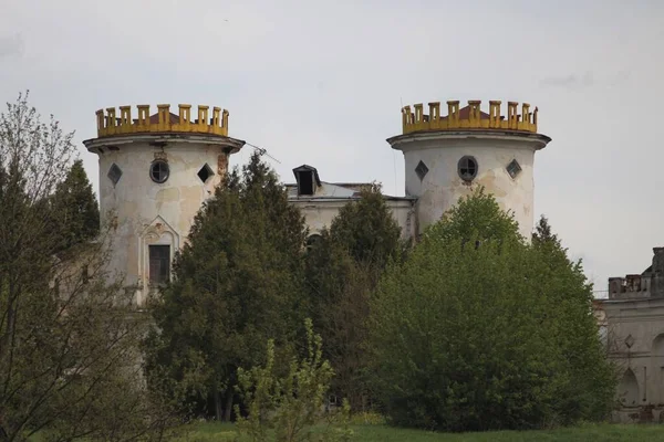 Vyshenki köyündeki Kont Rumyantsev-Zadunaisky 'nin malikanesi. Chernihiv bölgesi, Ukrayna