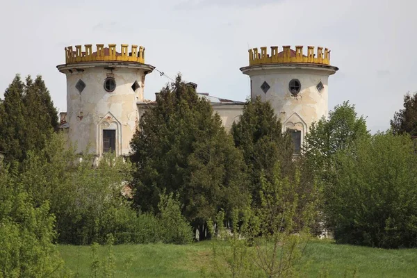 Vyshenki köyündeki Kont Rumyantsev-Zadunaisky 'nin malikanesi. Chernihiv bölgesi, Ukrayna