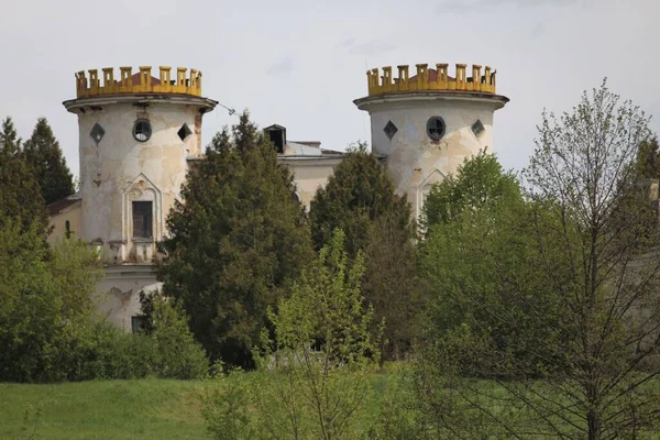 Vyshenki köyündeki Kont Rumyantsev-Zadunaisky 'nin malikanesi. Chernihiv bölgesi, Ukrayna