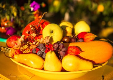 Renkli sonbahar hasat meyve? sebze tabağı