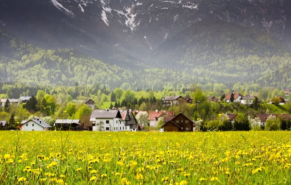 Blooming alpine village — Stock Photo, Image