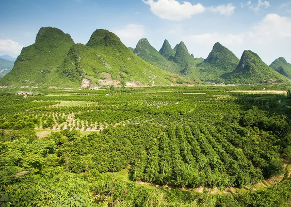 Yangshuo Guilin