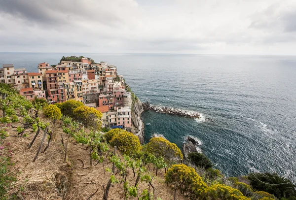 Landsbyen Manarola – stockfoto