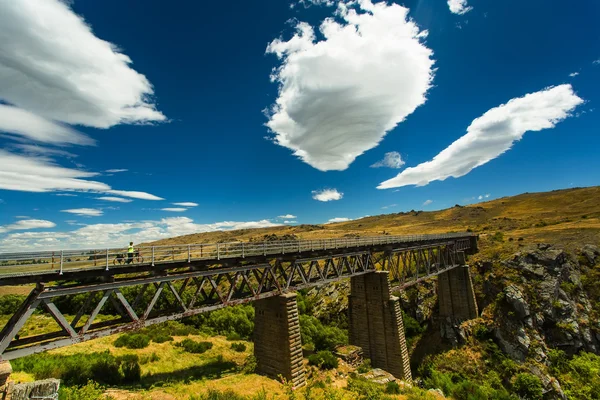 Köprüdeki kız bisiklet ile standları — Stok fotoğraf