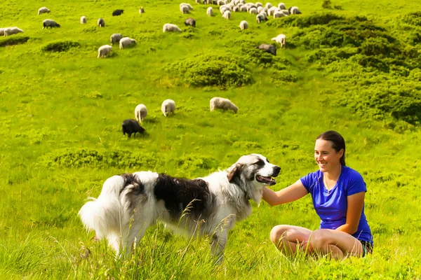 Chica con un perro blanco en una colina —  Fotos de Stock