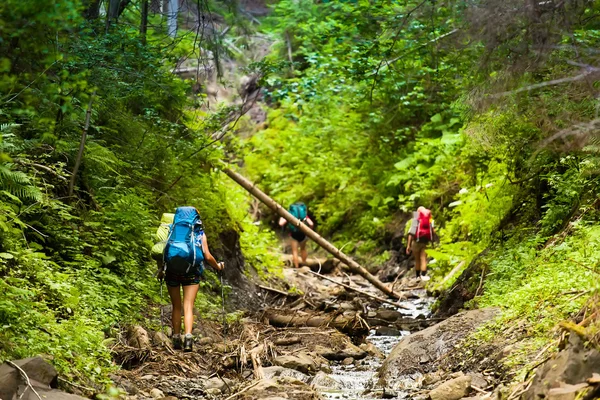 Vandrare går upp på berget — Stockfoto