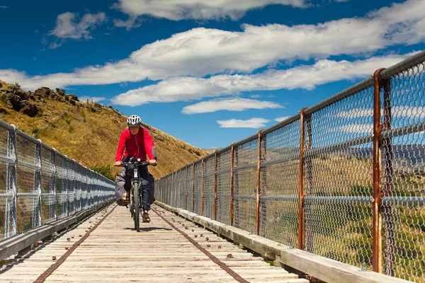 Bicker cruza el puente — Foto de Stock